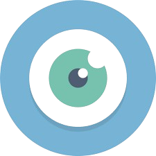 Vision Icon