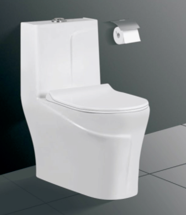 One Piece Toilets